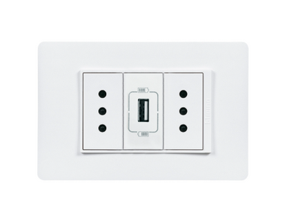 Enchufe Doble Embutido 10a + Cargador Usb Blanco Armado Luzica - Bticino